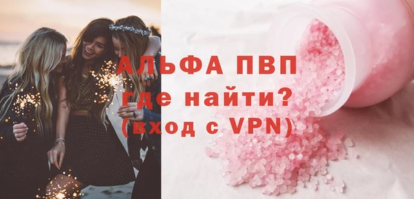 стаф Алексин