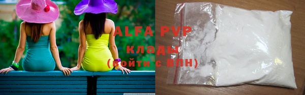стаф Алексин