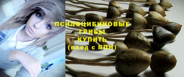 стаф Алексин