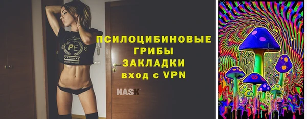 стаф Алексин