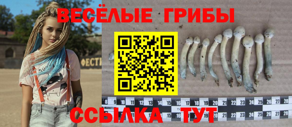 Псилоцибиновые грибы прущие грибы Искитим